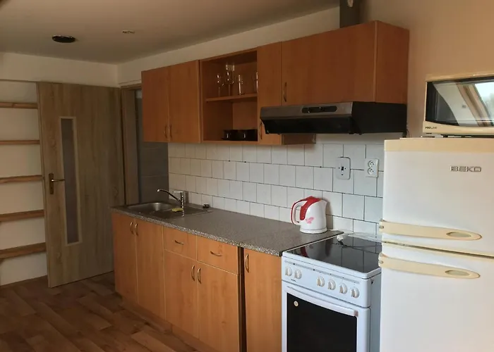 Apartment Stribrny Kopec *